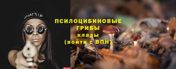 шишки Дмитровск