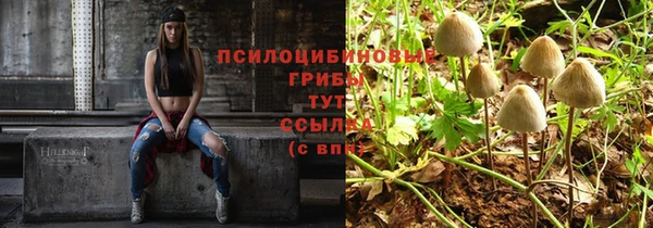 амфетамин Няндома