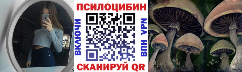 Псилоцибиновые грибы Cubensis  закладки  Няндома 